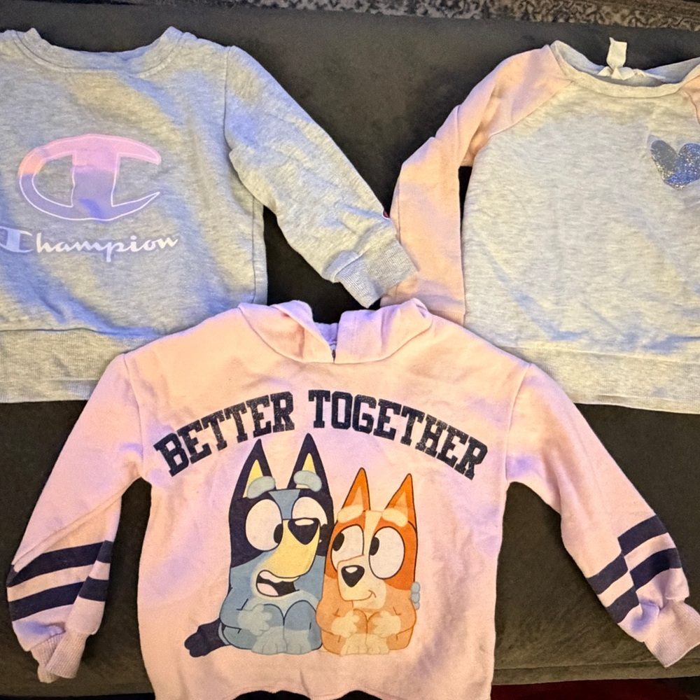 (3) Toddler Girls Sweatshirt - 2T